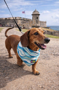Bandanas Küki Pets PR