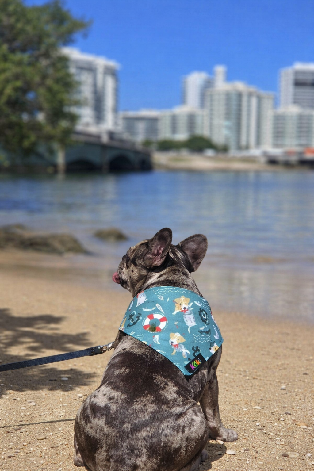 Bandana Marinero