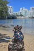 Bandana Floral