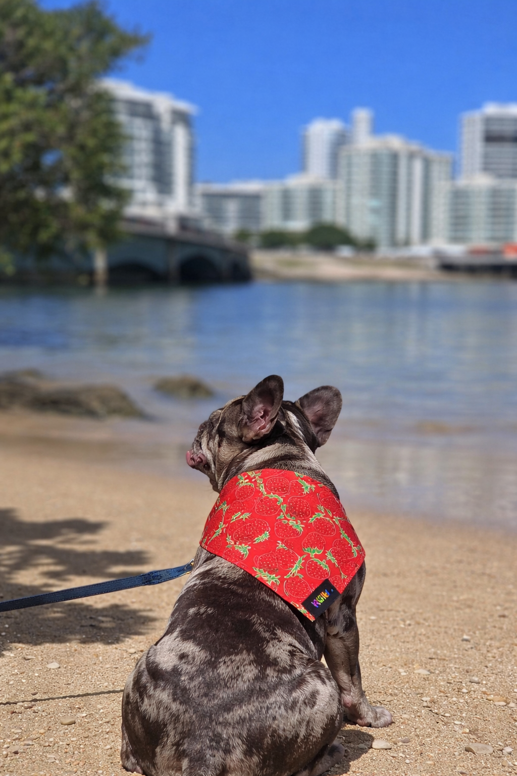 Bandana Fresas
