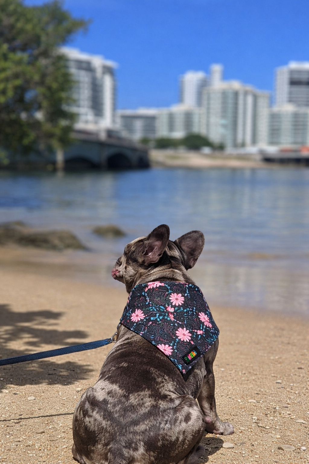Bandanas Rosa Floral