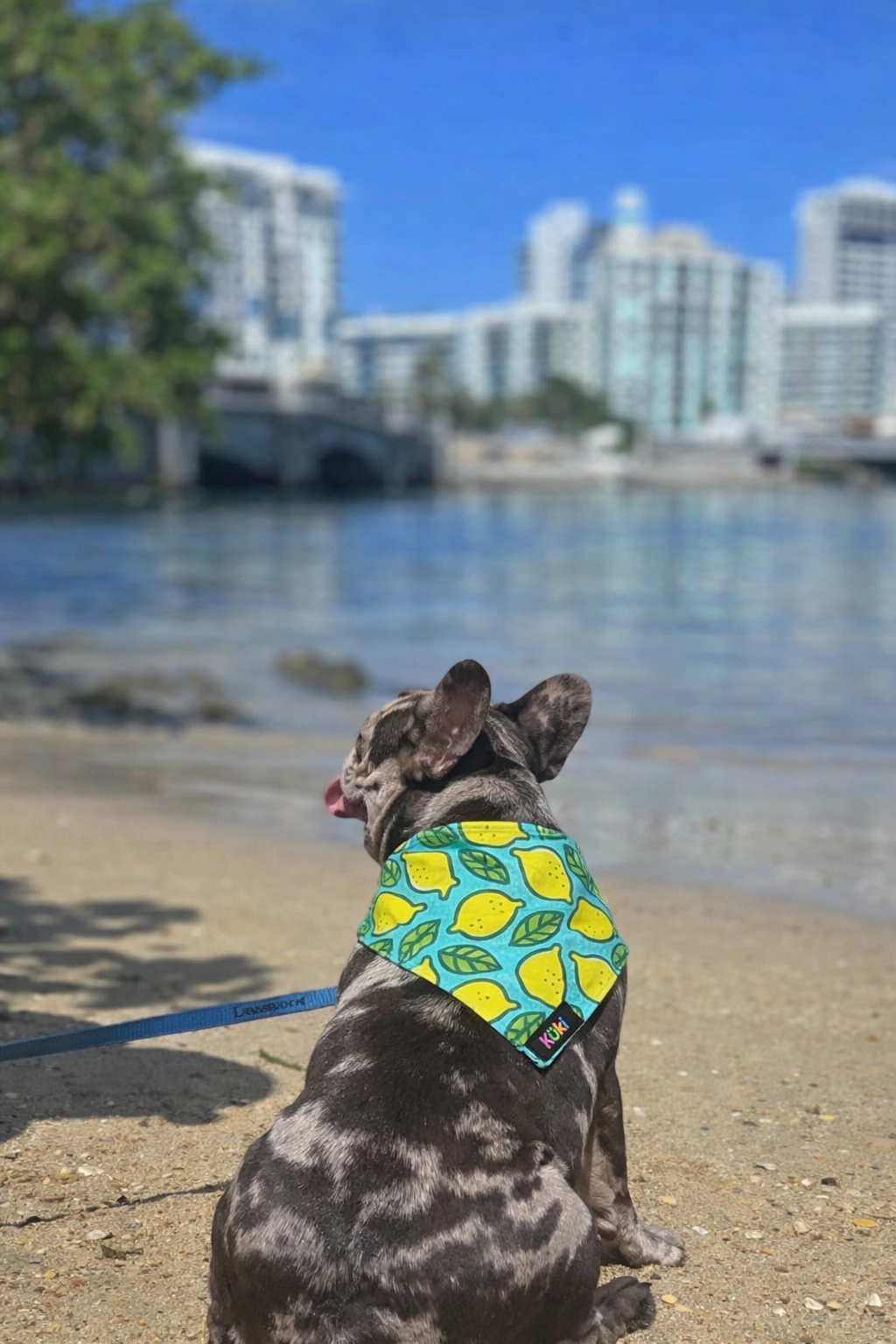 Bandana Lima
